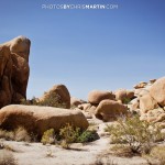Travel and Music Photography by Photos By Chris Martin