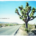 Travel and Music Photography by Photos By Chris Martin