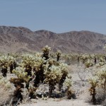 Travel and Music Photography by Photos By Chris Martin