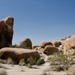 Travel and Music Photography by Photos By Chris Martin