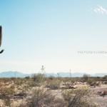 Travel and Music Photography by Photos By Chris Martin