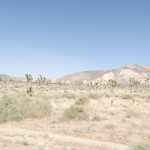 Travel and Music Photography by Photos By Chris Martin