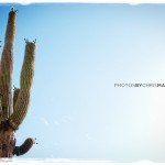 Travel and Music Photography by Photos By Chris Martin